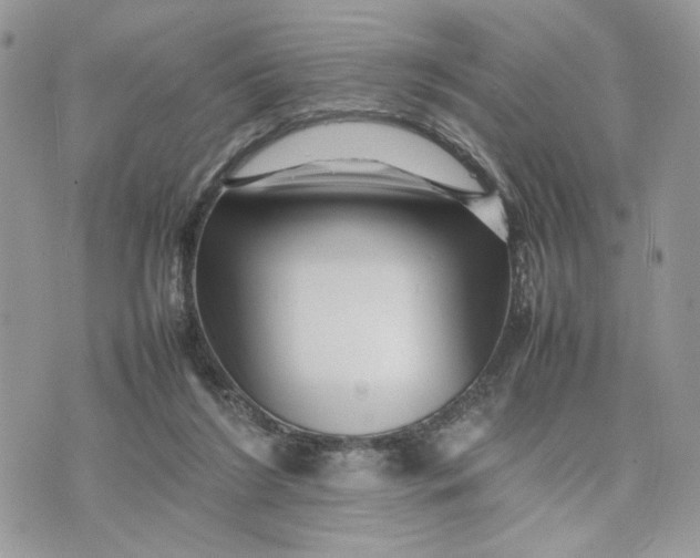 X0000075360212200609291509