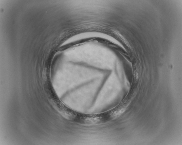 X0000075360213200609291509