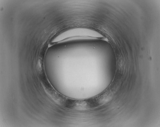 X0000075360214200609291509