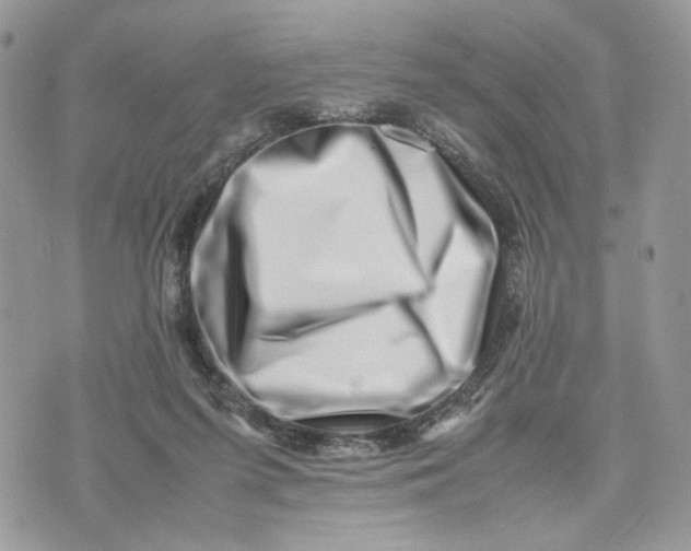 X0000075360215200609291509