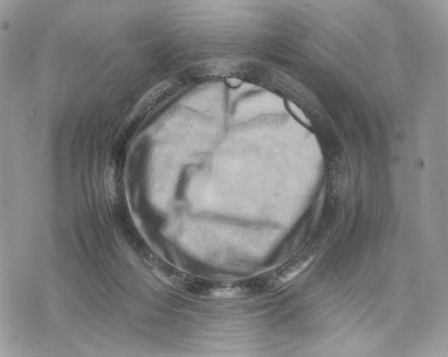 X0000075360216200609291509