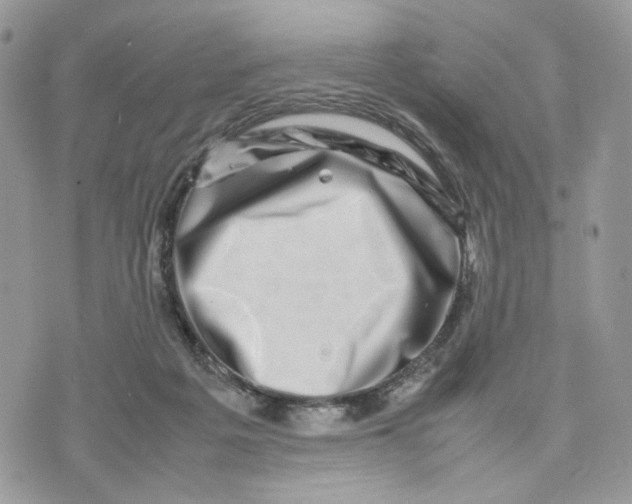 X0000075360217200609291509