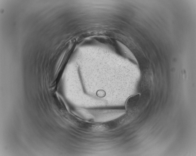 X0000075360218200609291509