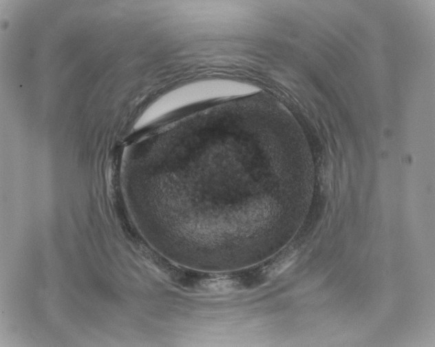 X0000075360219200609291509