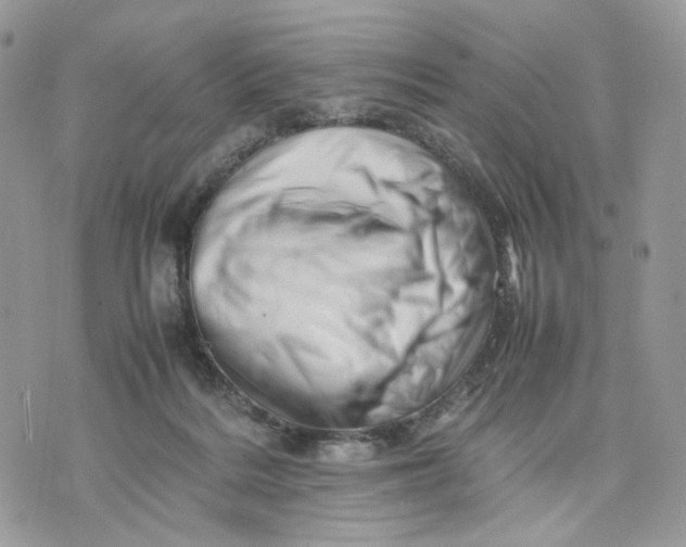 X0000075360220200609291509