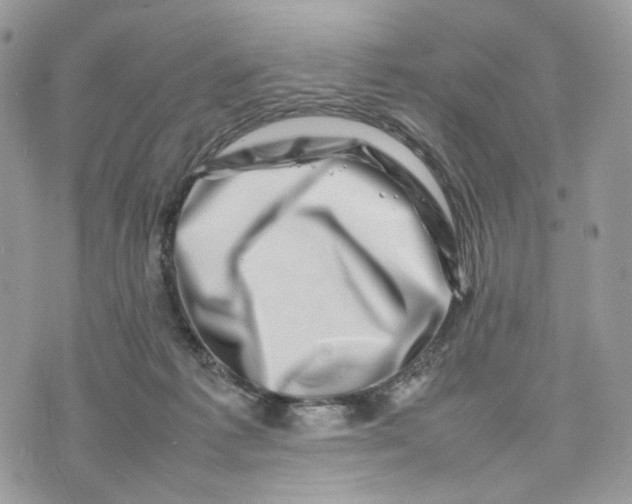 X0000075360221200609291509