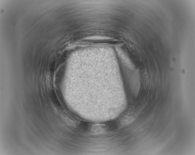 X0000075360222200609291509