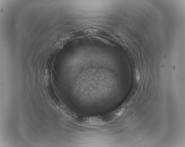 X0000075360223200609291509