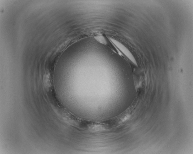 X0000075360224200609291509