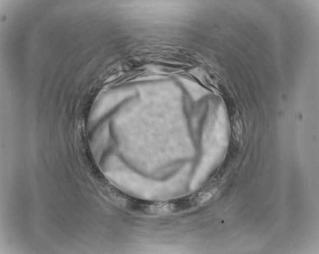 X0000075360225200609291509