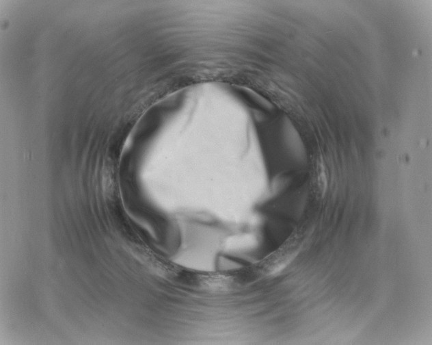 X0000075360226200609291509