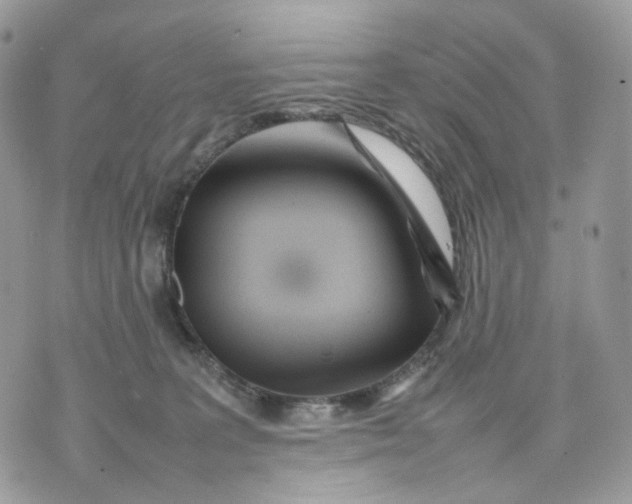 X0000075360227200609291509