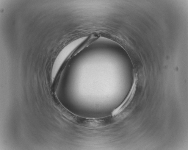 X0000075360229200609291509