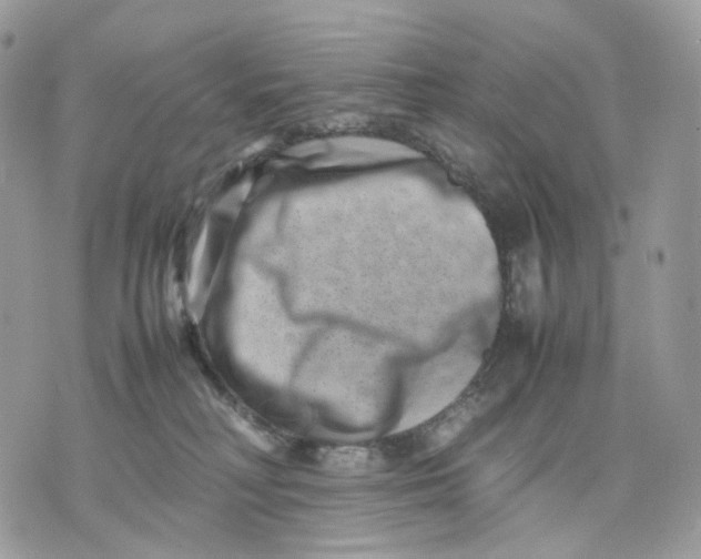 X0000075360230200609291509