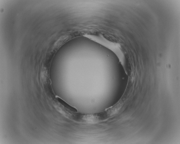 X0000075360231200609291509