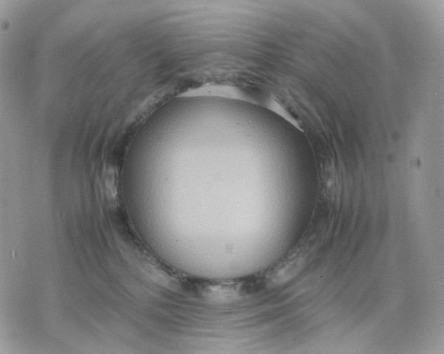 X0000075360232200609291509