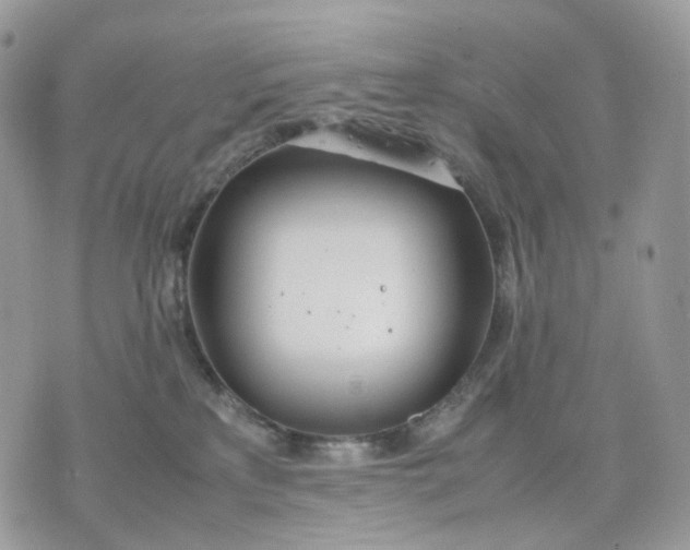 X0000075360233200609291509