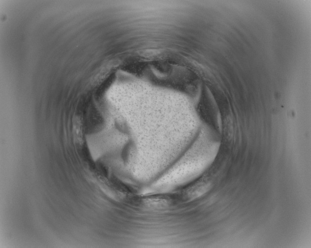 X0000075360234200609291509