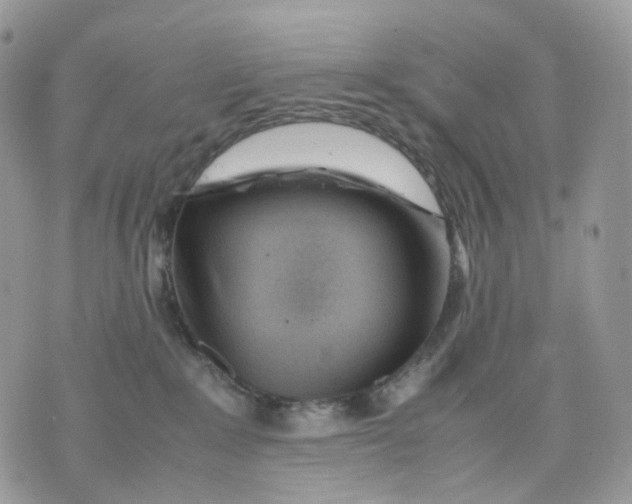 X0000075360235200609291509