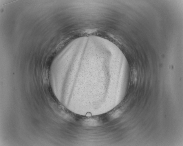 X0000075360236200609291509