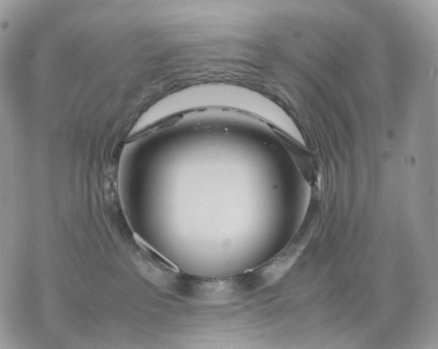 X0000075360237200609291509