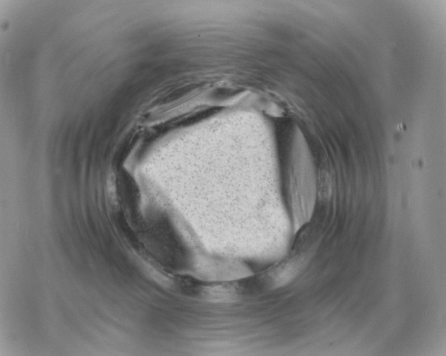 X0000075360238200609291508