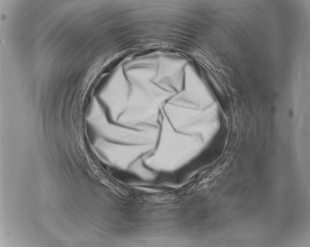 X0000075360241200609291508