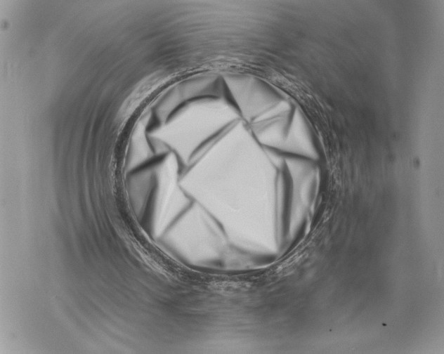 X0000075360242200609291508