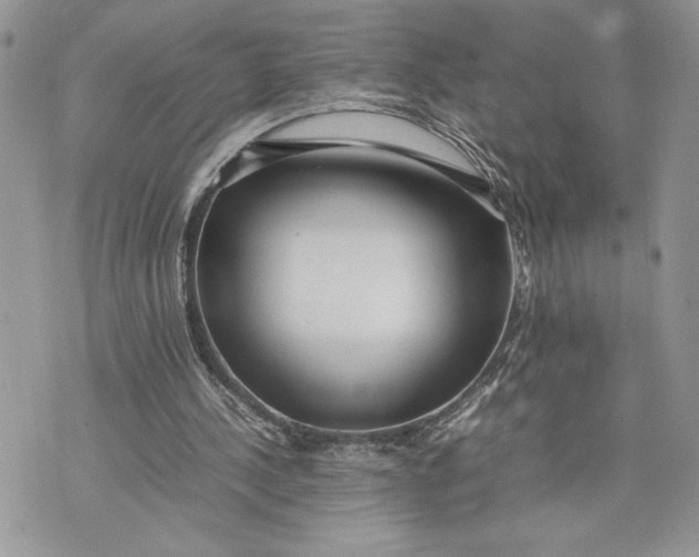 X0000075360244200609291508