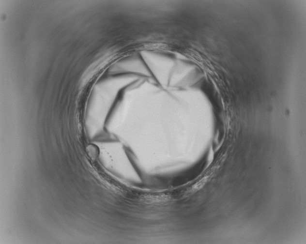 X0000075360245200609291508