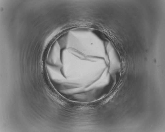 X0000075360246200609291508