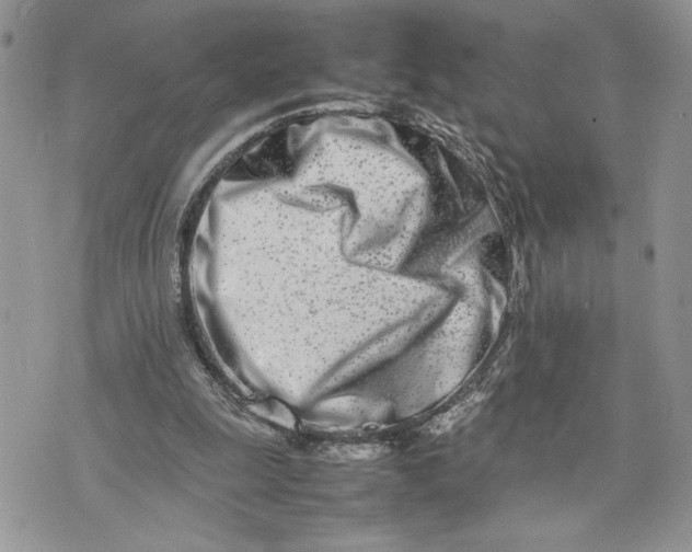 X0000075360247200609291508