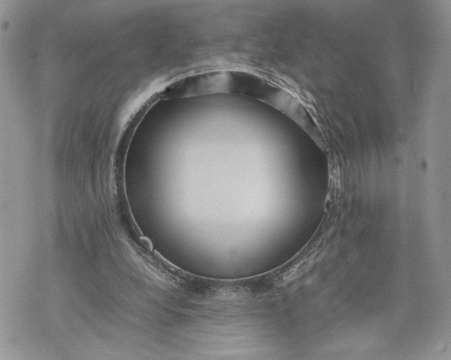 X0000075360248200609291508