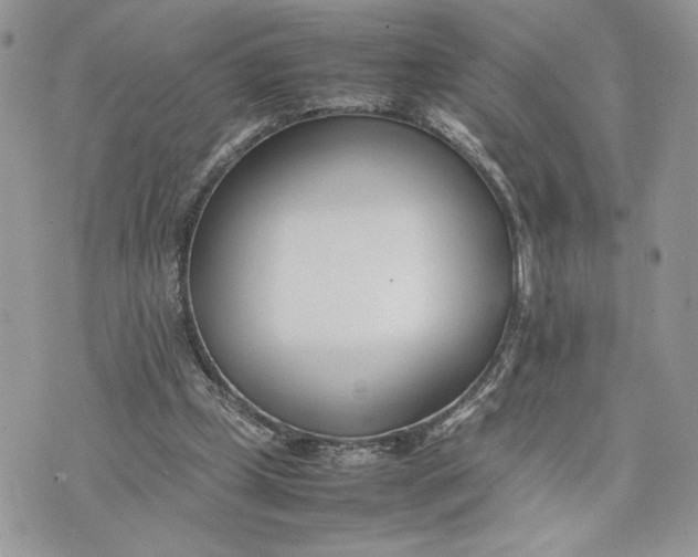 X0000075360249200609291508