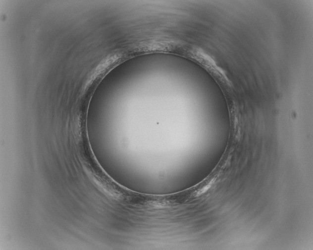 X0000075360250200609291508