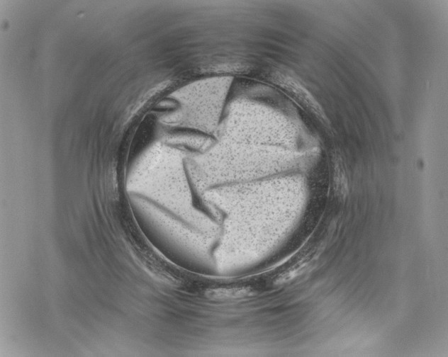 X0000075360251200609291508