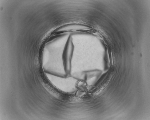 X0000075360252200609291508