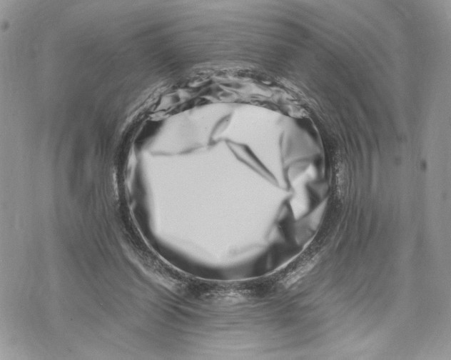 X0000075360254200609291508