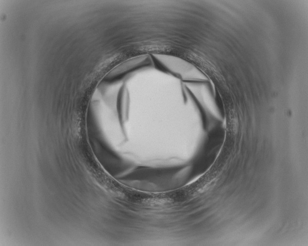 X0000075360255200609291508