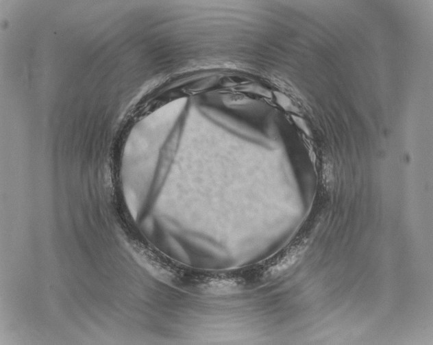 X0000075360256200609291508