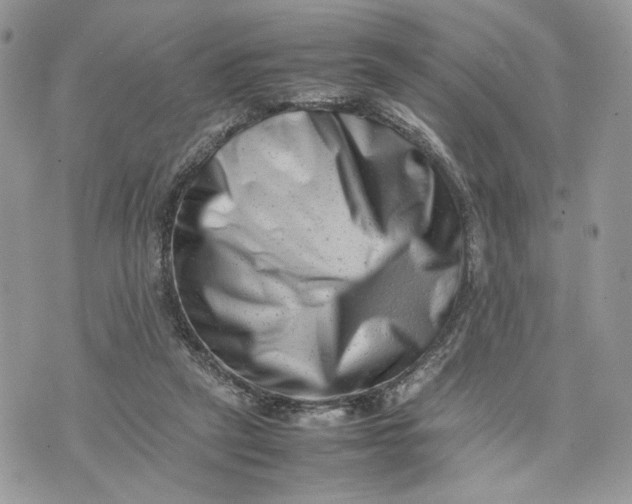 X0000075360257200609291508