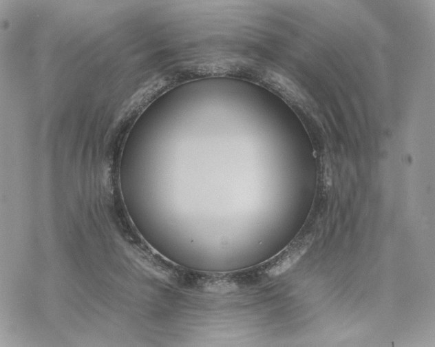 X0000075360258200609291508