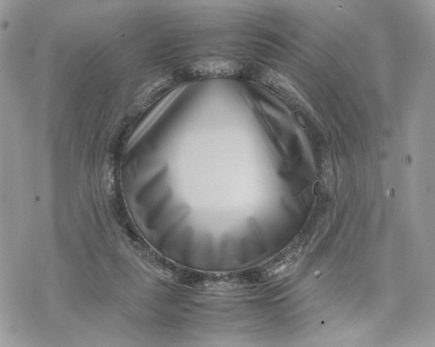 X0000075360259200609291508