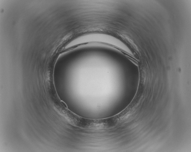 X0000075360260200609291508