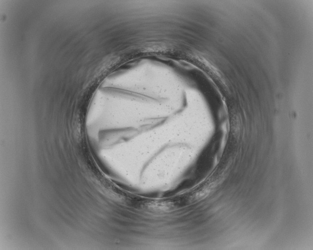 X0000075360261200609291508