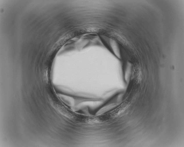 X0000075360262200609291508