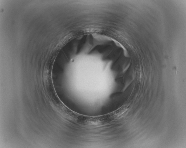 X0000075360263200609291508