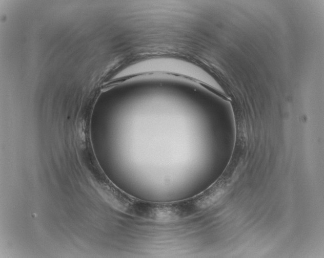 X0000075360264200609291508