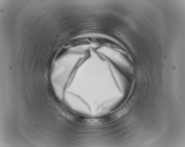 X0000075360265200609291508