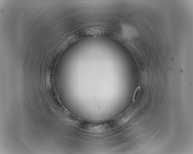 X0000075360267200609291508